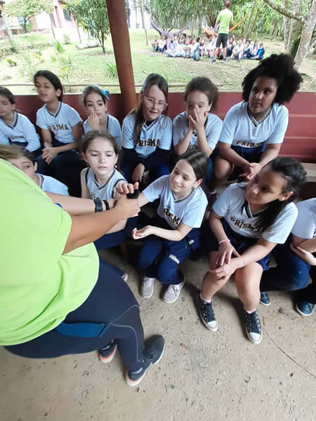Bicho Mania 2022